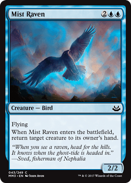 Corvo das Brumas / Mist Raven