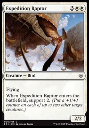 Raptor da Expedição / Expedition Raptor