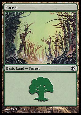 Floresta (#247) / Forest (#247)