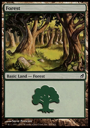 Floresta (#300) / Forest (#300)