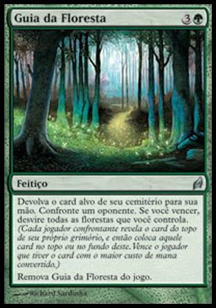 Guia da Floresta Guia da Floresta