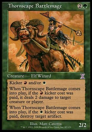 Mago de Combate de Thornscape / Thornscape Battlemage