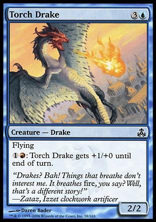 Dragonete Tocha / Torch Drake