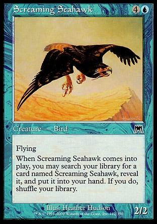 Falcão do Mar Gritador / Screaming Seahawk