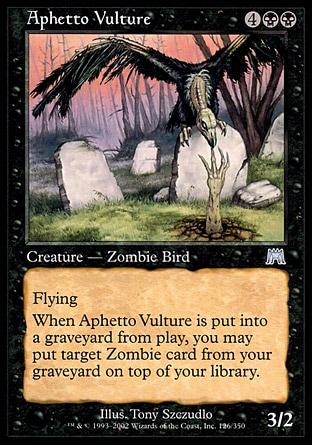 Abutre de Aphetto / Aphetto Vulture