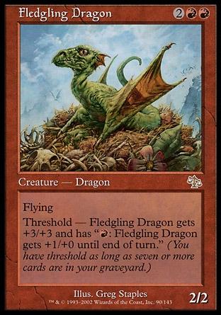 Dragão Inexperiente / Fledgling Dragon