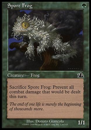 Rã dos Esporos / Spore Frog