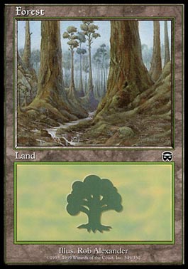 Floresta (#349) / Forest (#349)
