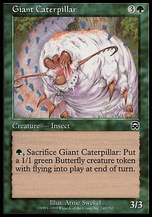 Lagarta Gigante / Giant Caterpillar