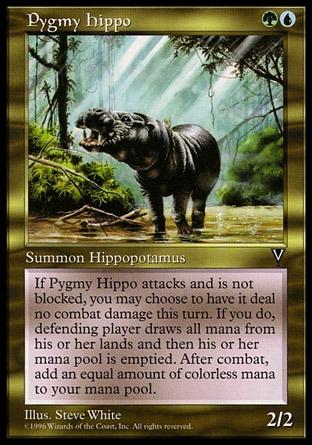 Hipopótamo Pigmeu / Pygmy Hippo