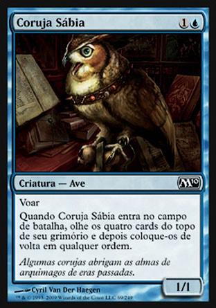 Coruja Sábia / Sage Owl