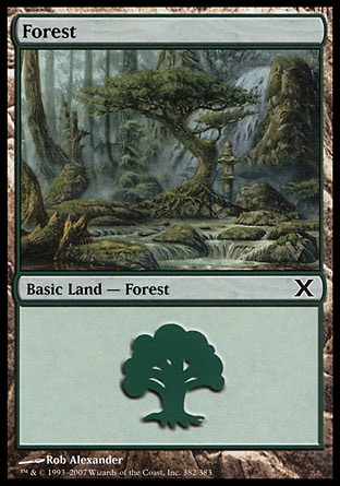 Floresta (#382) / Forest (#382)