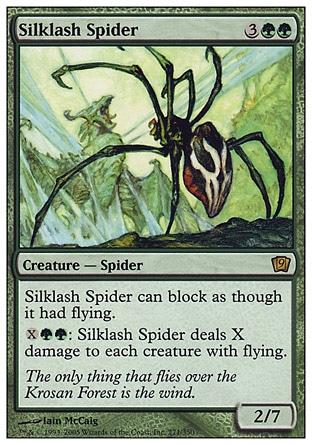 Aranha do Chicote de Seda / Silklash Spider