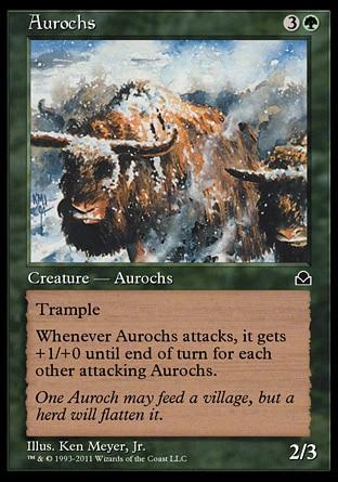 Auroques / Aurochs