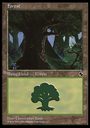Floresta (3) / Forest (3)