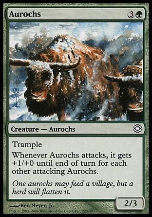 Auroques / Aurochs