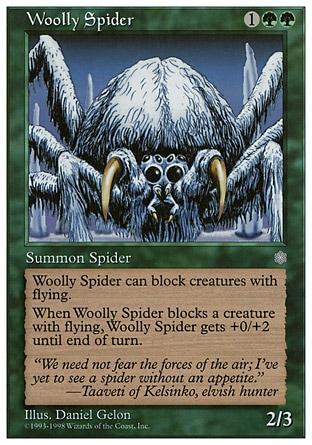 Aranha Lanosa / Woolly Spider
