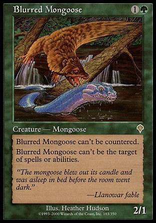Mangusto Manchado / Blurred Mongoose