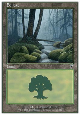 Floresta (#328) / Forest (#328)