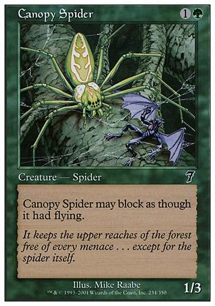 Aranha Baldaquina / Canopy Spider