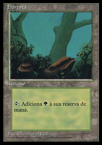 Floresta (#376) / Forest (#376)