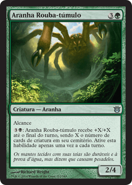 Aranha Rouba-túmulo / Graverobber Spider
