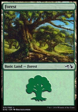 Floresta (#31) / Forest (#31)