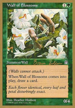 Barreira de Flores / Wall of Blossoms