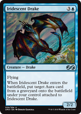 Dragonete Iridescente / Iridescent Drake