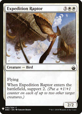 Raptor da Expedição / Expedition Raptor