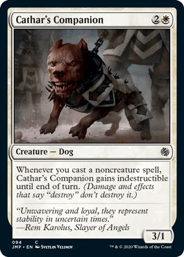 Companheira do Cátaro / Cathars Companion