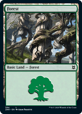 Floresta (#384) / Forest (#384)