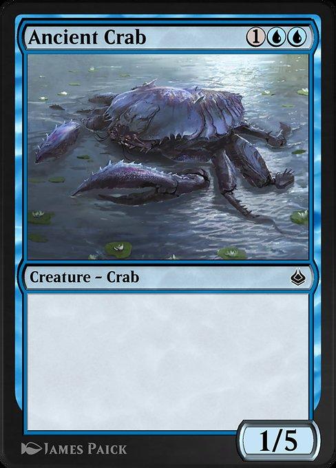 Caranguejo Ancião / Ancient Crab