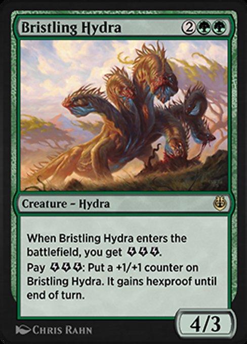Hidra Eriçada / Bristling Hydra