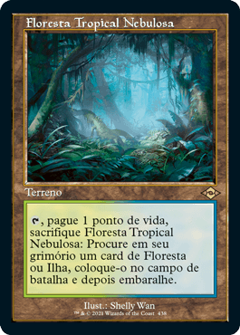 Floresta Tropical Nebulosa / Misty Rainforest