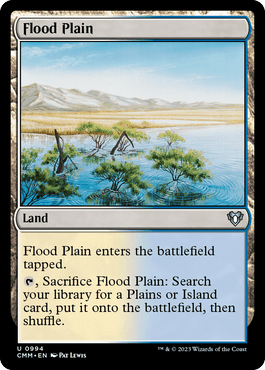 Planície Alagadiça / Flood Plain