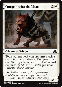 Companheira do Cátaro / Cathars Companion