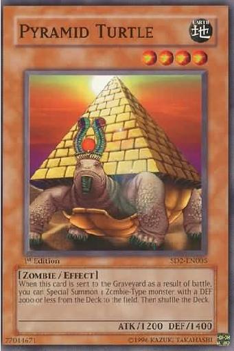 Tartaruga Pirâmide / Pyramid Turtle (#DB2-EN225)