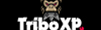 TriboXP