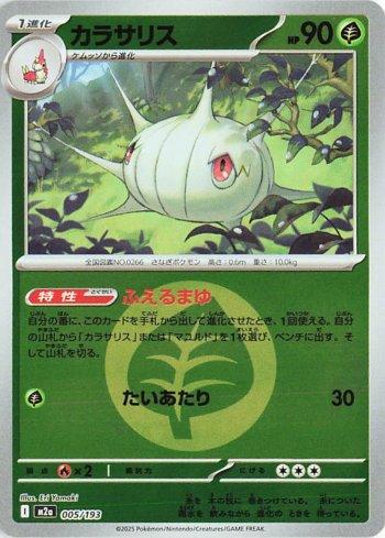 Silcoon