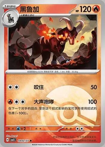Houndoom (Poké Ball Holo) (#0802-07/196)