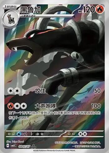 Houndoom (Illustrated Full Arts) (#0807-07/196)