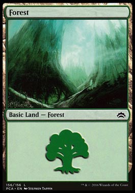 Floresta (#156) / Forest (#156)