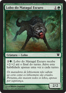 Lobo do Matagal Escuro / Darkthicket Wolf