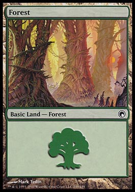 Floresta (#249) / Forest (#249)