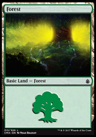 Floresta (#313) / Forest (#313)