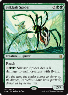 Aranha do Chicote de Seda / Silklash Spider