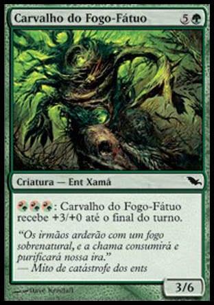 Carvalho do Fogo-Fátuo / Foxfire Oak