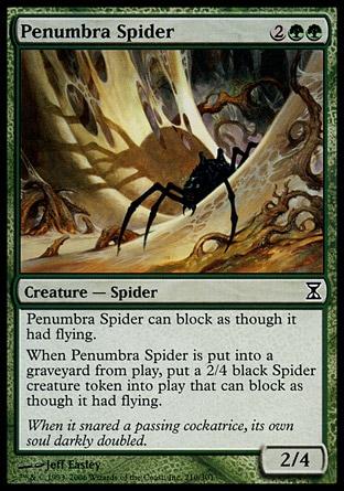 Aranha da Penumbra / Penumbra Spider