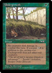 Vegetação Rasteira (Fox) / Undergrowth (Fox)